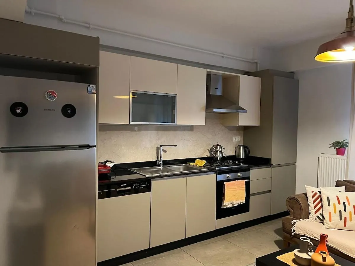 Comfortable New Apartment In Beyoglu Istanbul Turkey