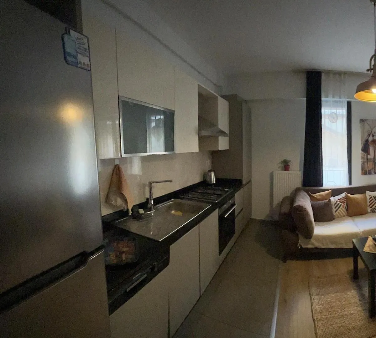 Comfortable New Apartment In Beyoglu Istanbul 0*,  Turkey